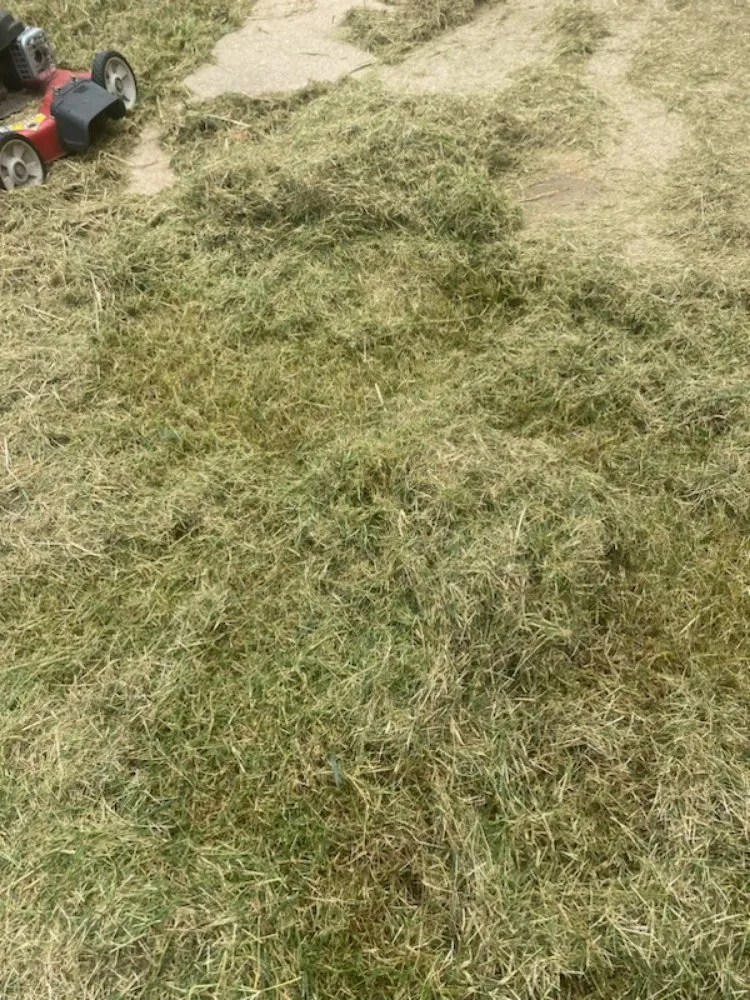 Local outdoor landscaping near you in Alvarado, TX by Right Solution Lawn & Junk