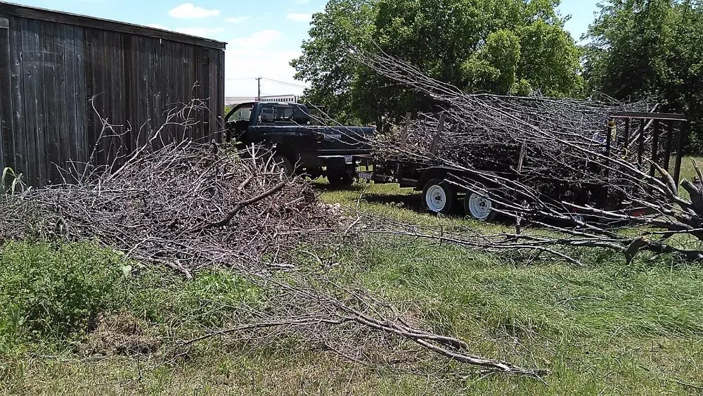 Professional yard maintenance near you in Alvarado, TX by Right Solution Lawn & Junk