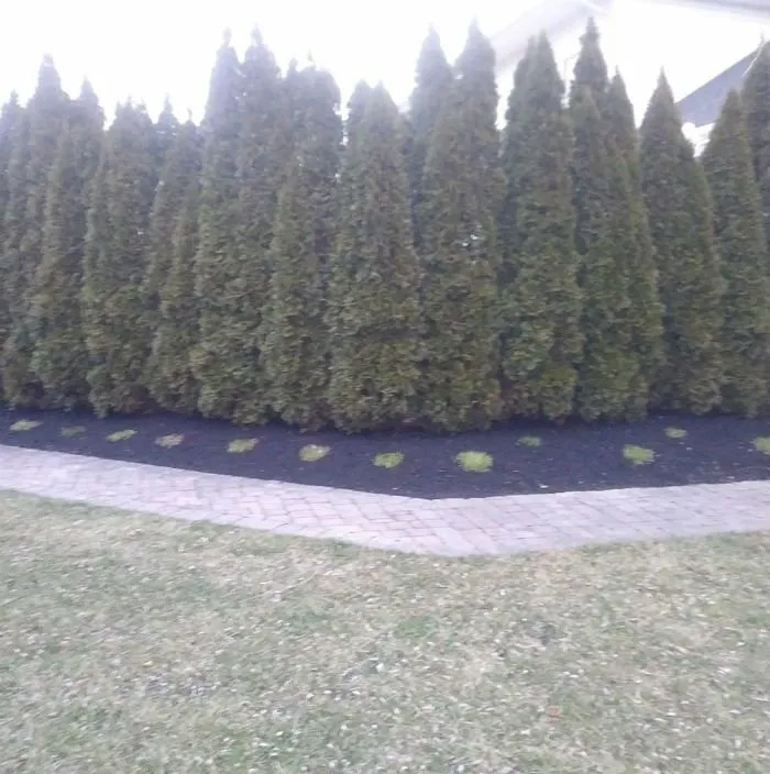 Local outdoor landscaping for beautiful yards across Williamstown, NJ - Right Touch Landscaping