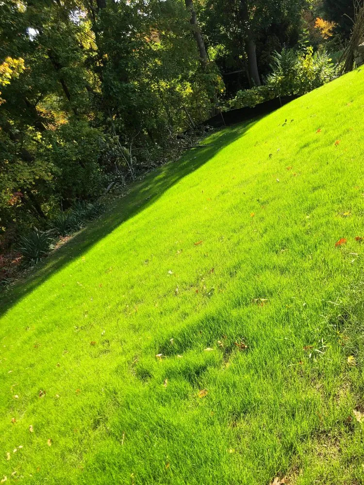 Expert landscaping services experts serving Worcester, MA - Right View Landscaping