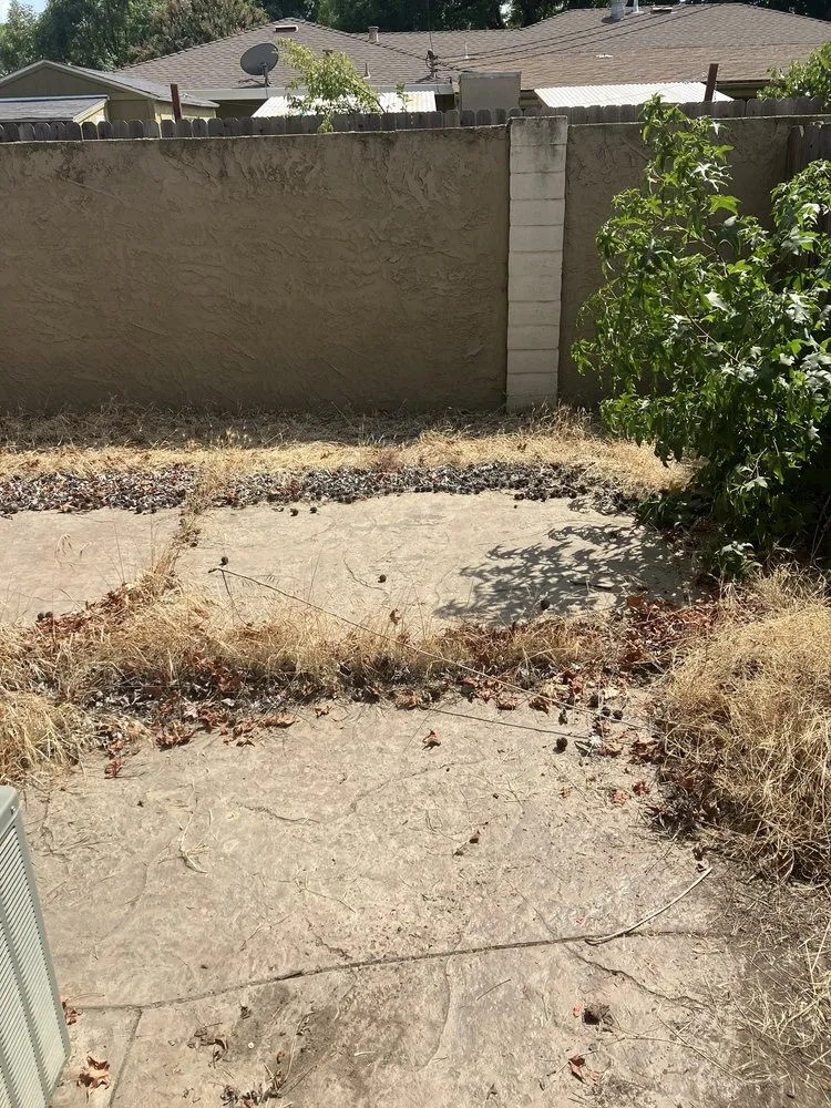 Top-rated yard maintenance for outdoor upgrades in Lathrop, CA by Right Way Curb Appeal