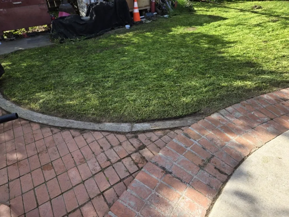 Professional yard maintenance in Lathrop, CA - Right Way Curb Appeal