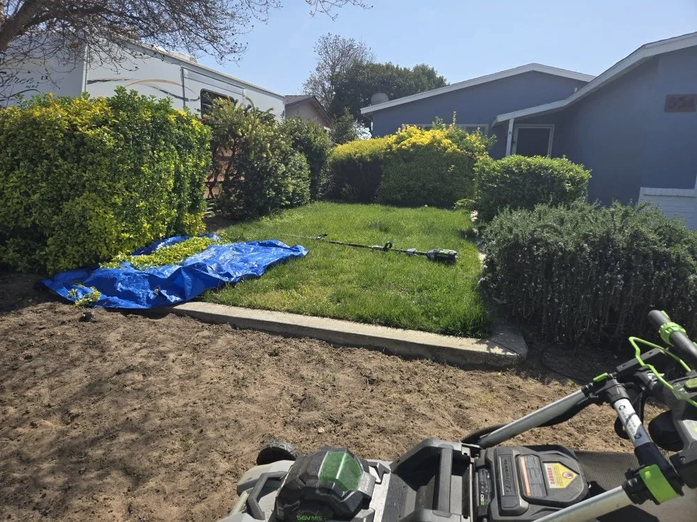 Local landscape installation in Lathrop, CA - Right Way Curb Appeal
