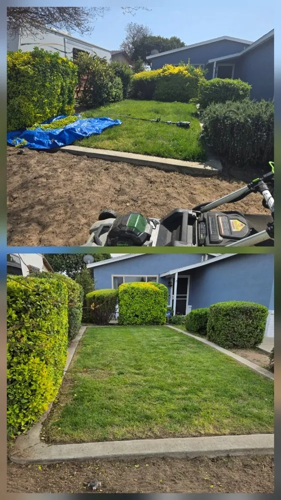 Professional garden landscaping for residential properties across Lathrop, CA - Right Way Curb Appeal