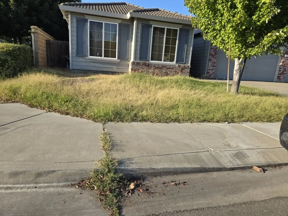 Custom yard cleanup service in Lathrop, CA by Right Way Curb Appeal