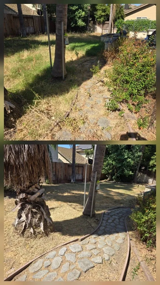 Top-rated landscaping services for homes across Lathrop, CA - Right Way Curb Appeal