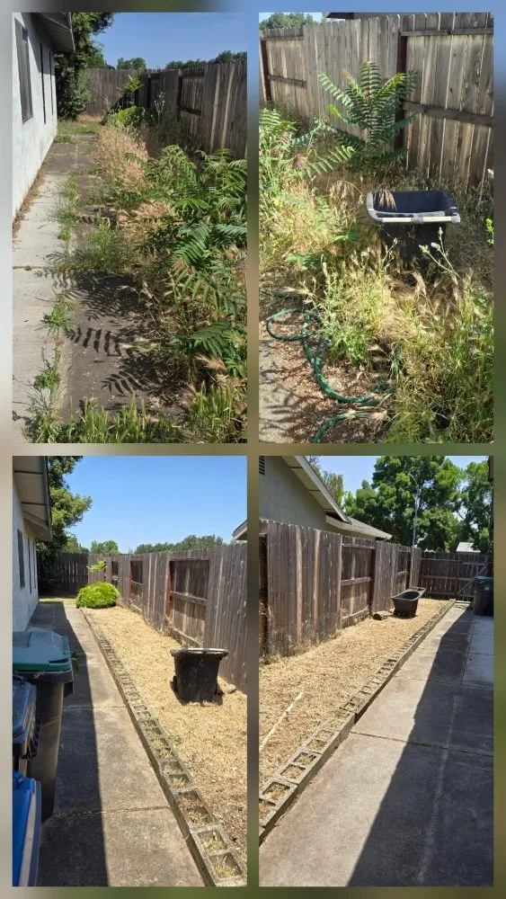 Professional landscape installation near you across Lathrop, CA - Right Way Curb Appeal