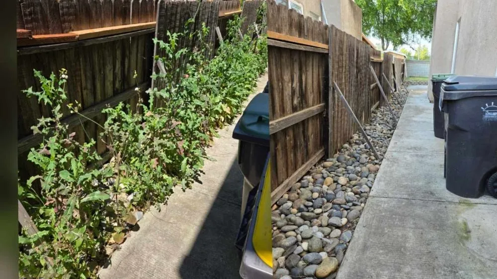 Custom yard cleanup service in Lathrop, CA - Right Way Curb Appeal