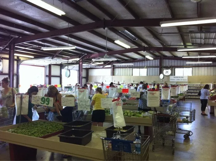 Affordable residential landscaping with custom design in Lathrop, CA by Right Way Curb Appeal