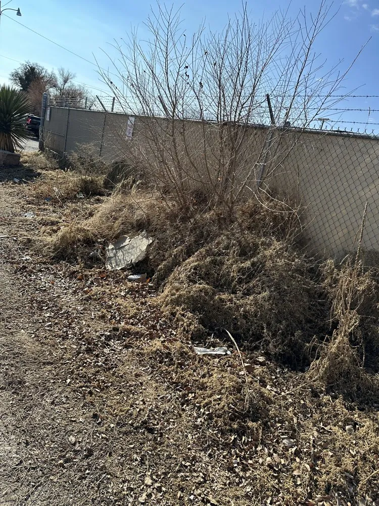 Custom lawn mowing service near you across Albuquerque, NM - Right Way Landscaping