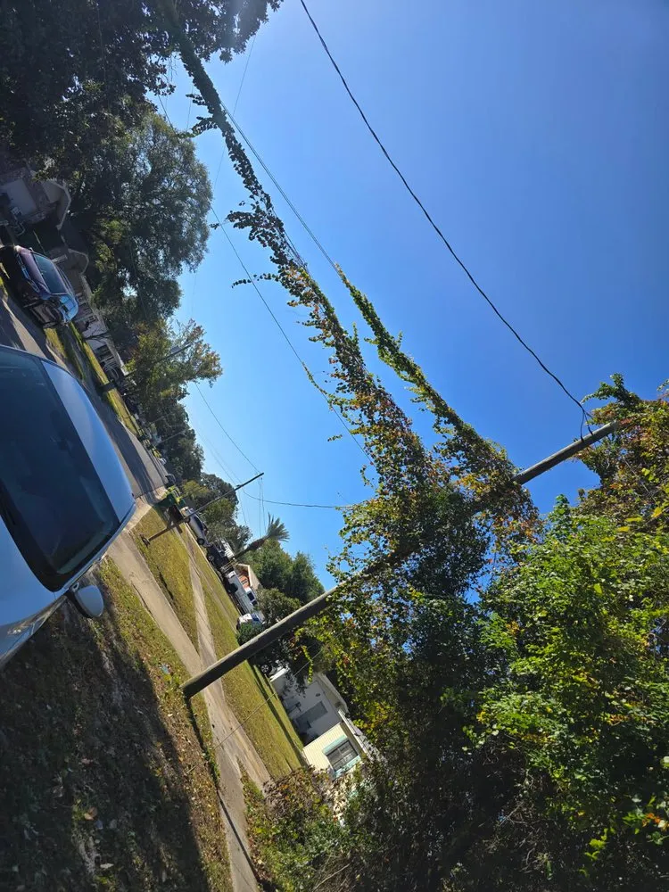 Top-rated garden landscaping in Navarre, FL by Right Way Lawn Care