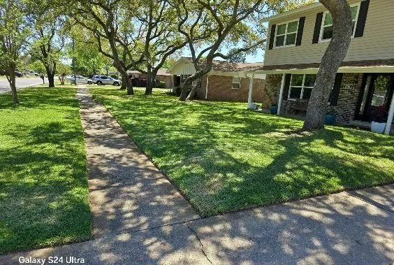 Top-rated outdoor landscaping experts serving Navarre, FL - Right Way Lawn Care