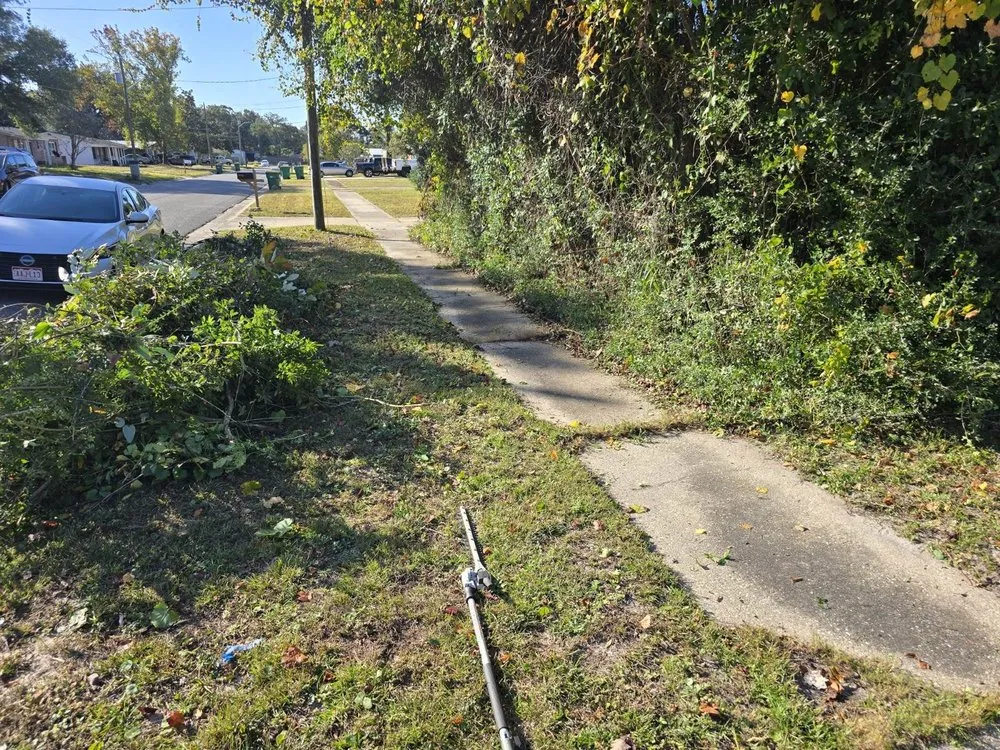 Reliable landscaping services experts serving Navarre, FL - Right Way Lawn Care