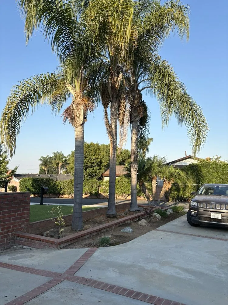 Reliable landscaping services for homes across North Hollywood, CA - Right Way Tree Service