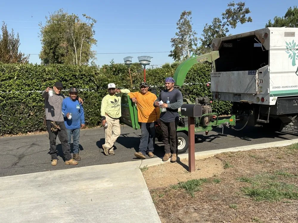 Professional landscape installation near you across North Hollywood, CA - Right Way Tree Service
