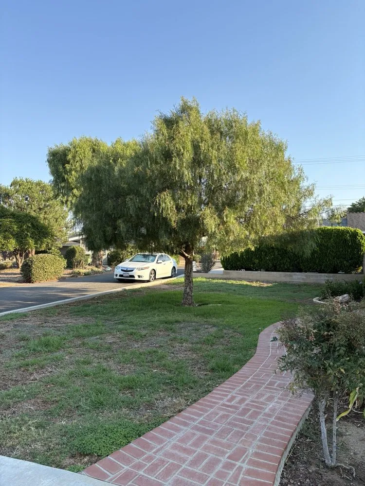 Trusted landscape installation with custom design in North Hollywood, CA by Right Way Tree Service