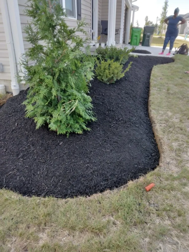 Professional yard cleanup service near you across Barberton, OH - Righteous Lawn Care