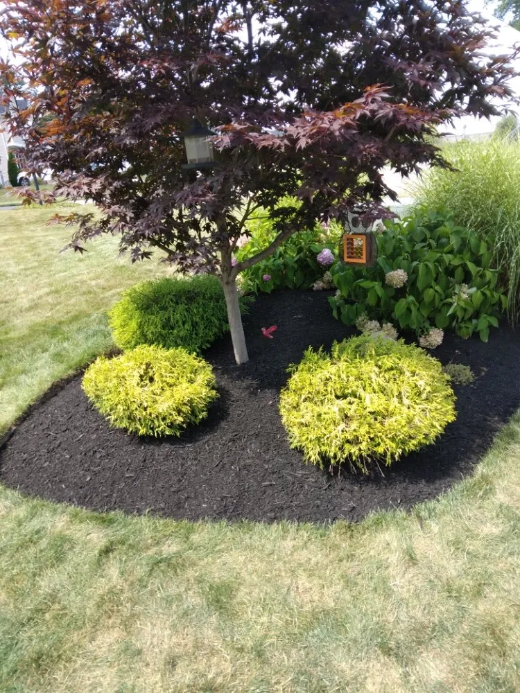 Top-rated yard cleanup service in Barberton, OH - Righteous Lawn Care