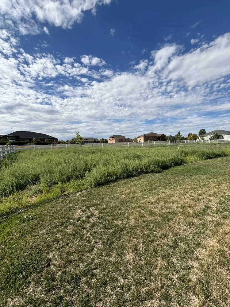 Professional yard cleanup service in Brighton, CO - Righthand Landscaping