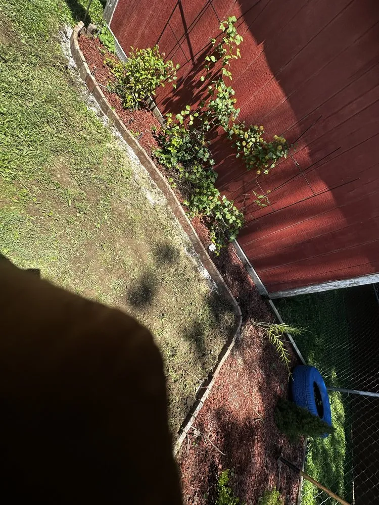 Expert lawn mowing service near you in Henderson, KY by Rightmyer Landscaping