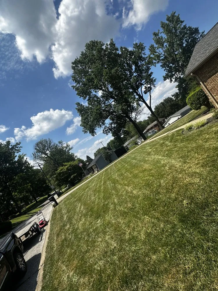 Expert yard cleanup service in Henderson, KY - Rightmyer Landscaping