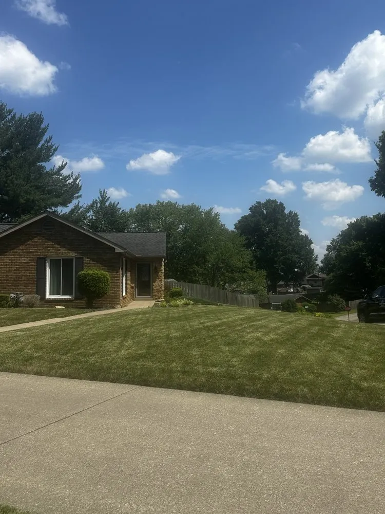 Professional yard cleanup service in Henderson, KY - Rightmyer Landscaping