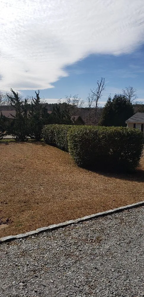 Custom outdoor landscaping in Roanoke Rapids, NC - Rightmyer Lawncare And Stump Grinding