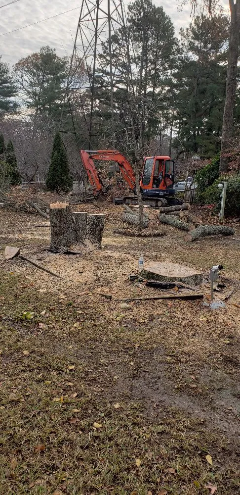 Affordable yard maintenance experts serving Roanoke Rapids, NC - Rightmyer Lawncare And Stump Grinding