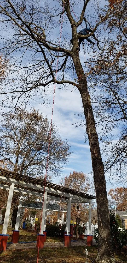 Top-rated lawn mowing service experts serving Roanoke Rapids, NC - Rightmyer Lawncare And Stump Grinding