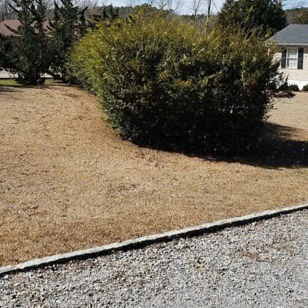 Professional landscape installation for beautiful yards in Roanoke Rapids, NC by Rightmyer Lawncare And Stump Grinding