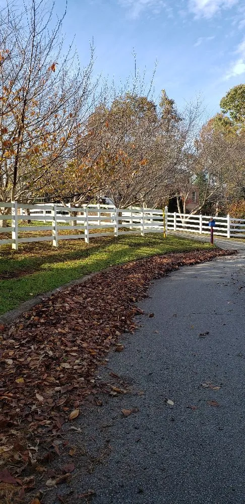 Top-rated yard maintenance experts serving Roanoke Rapids, NC - Rightmyer Lawncare And Stump Grinding