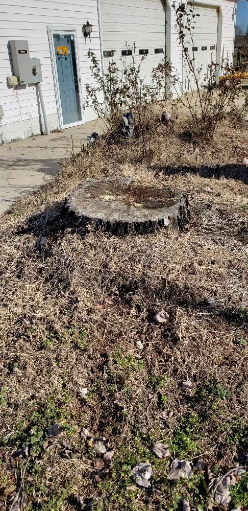 Professional lawn care service in Roanoke Rapids, NC - Rightmyer Lawncare And Stump Grinding