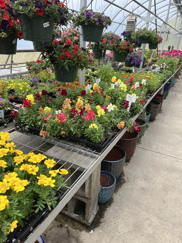 Custom outdoor landscaping in Burlington, KY by Rightway Garden Center