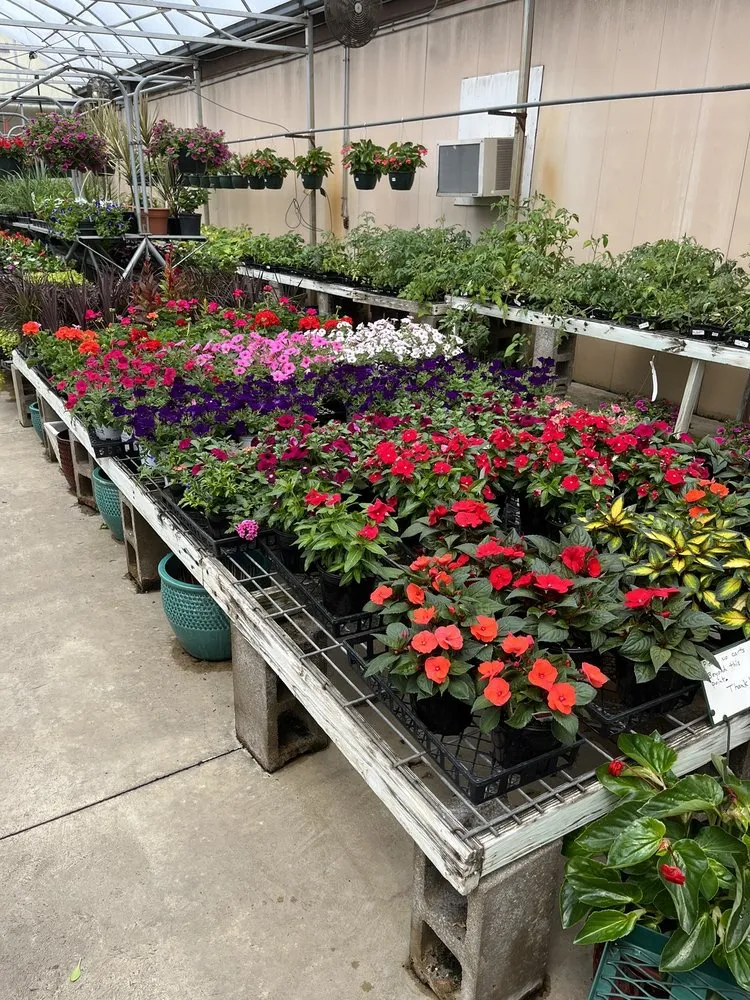 Top-rated lawn mowing service for homes in Burlington, KY by Rightway Garden Center