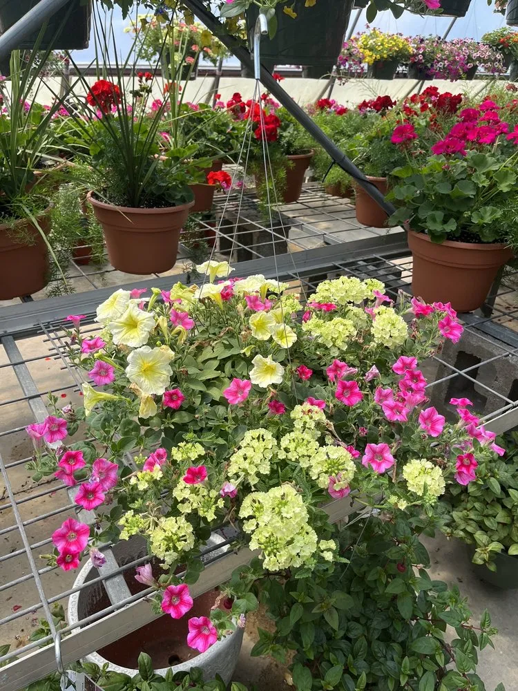 Trusted lawn mowing service near you across Burlington, KY - Rightway Garden Center