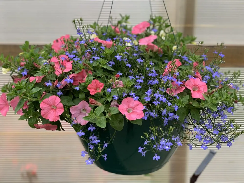 Top-rated garden landscaping in Burlington, KY by Rightway Garden Center