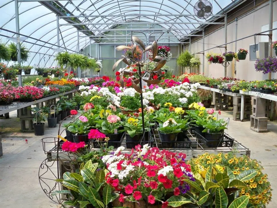 Local landscape installation near you in Burlington, KY by Rightway Garden Center