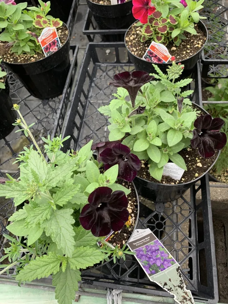 Custom landscape installation experts serving Burlington, KY - Rightway Garden Center