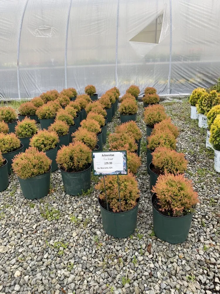 Custom yard maintenance experts serving Burlington, KY - Rightway Garden Center