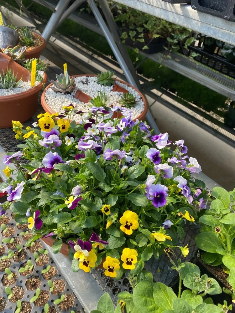 Custom lawn care service experts serving Burlington, KY - Rightway Garden Center