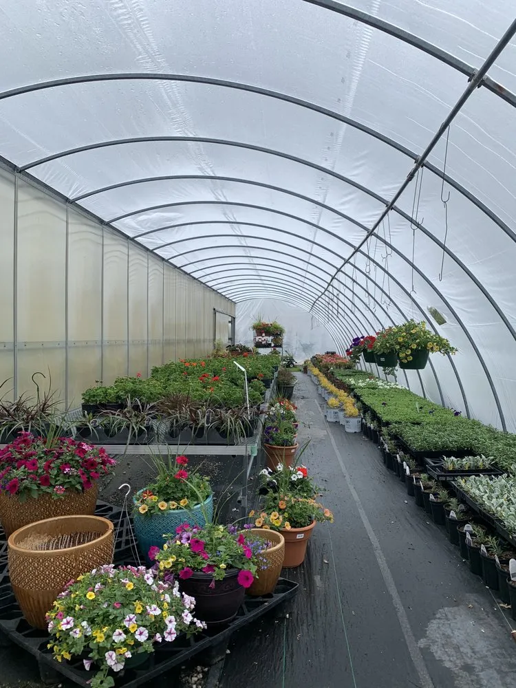 Top-rated yard maintenance in Burlington, KY - Rightway Garden Center