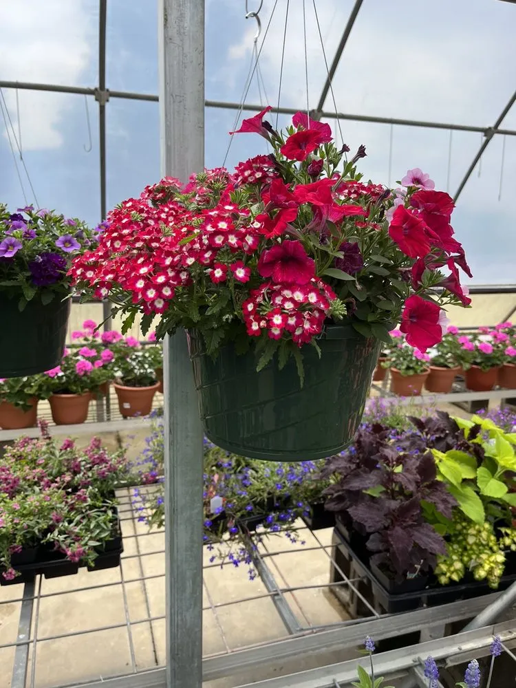 Professional garden landscaping near you in Burlington, KY by Rightway Garden Center