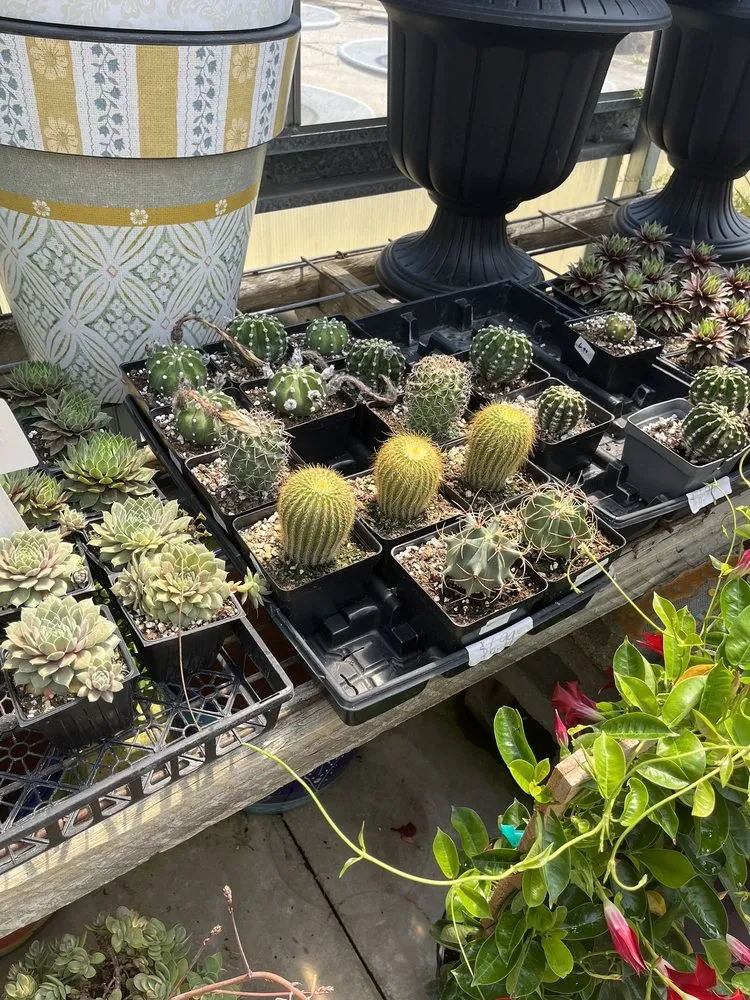 Trusted yard maintenance experts serving Burlington, KY - Rightway Garden Center