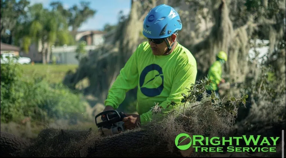 Custom residential landscaping for outdoor upgrades in Haines City, FL by RightWay Landscape & Tree Professionals