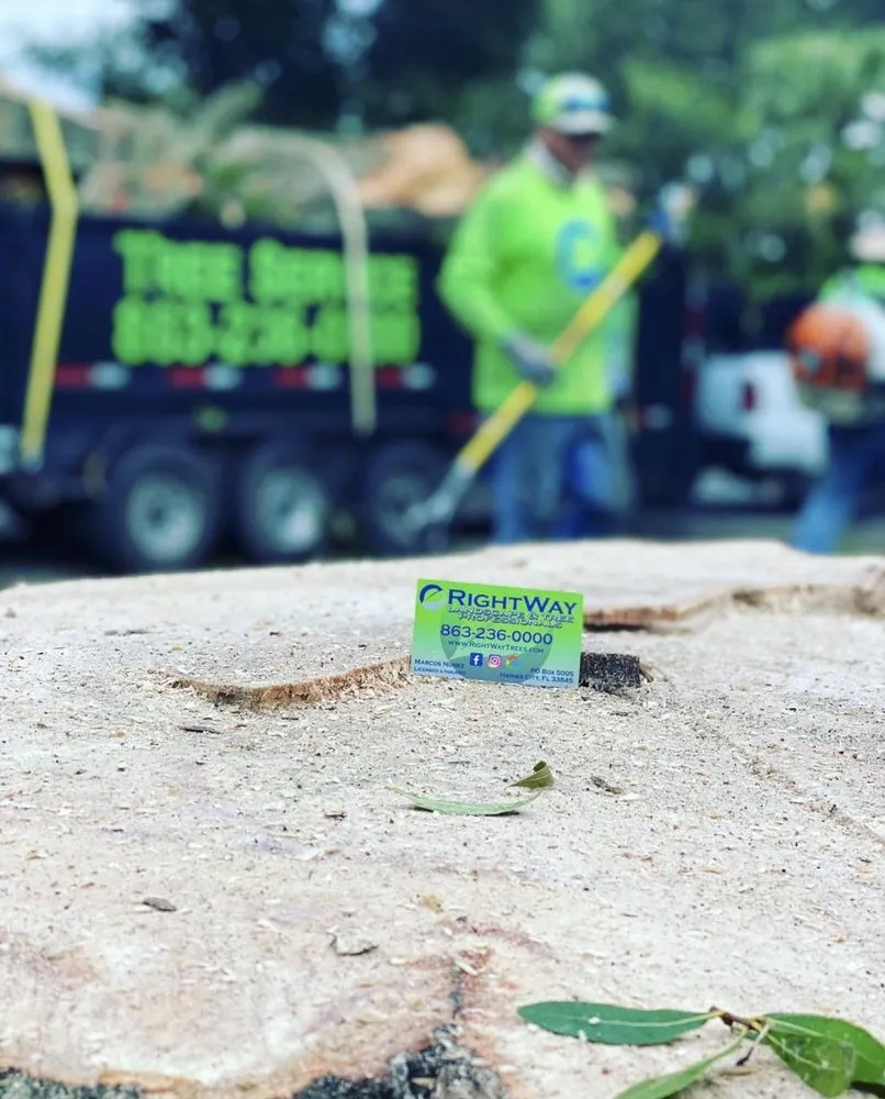 Professional residential landscaping experts serving Haines City, FL - RightWay Landscape & Tree Professionals