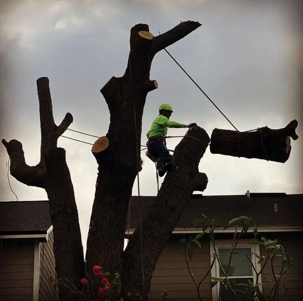 Custom landscape design for residential properties across Haines City, FL - RightWay Landscape & Tree Professionals