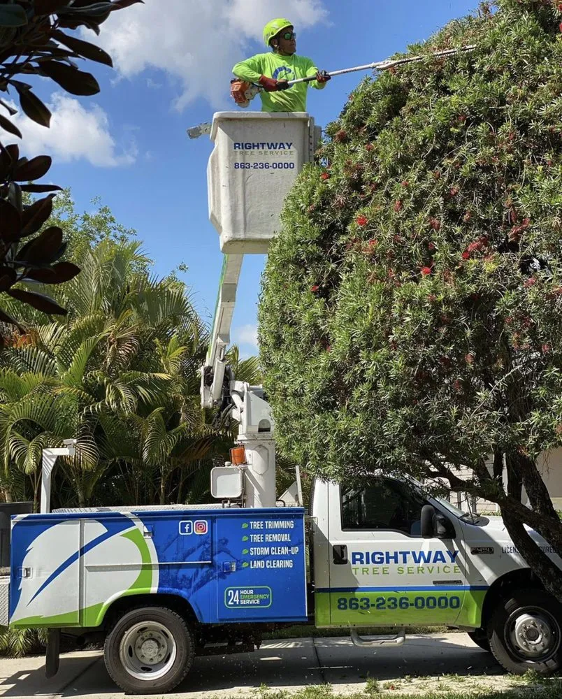 Custom lawn mowing service experts serving Haines City, FL - RightWay Landscape & Tree Professionals