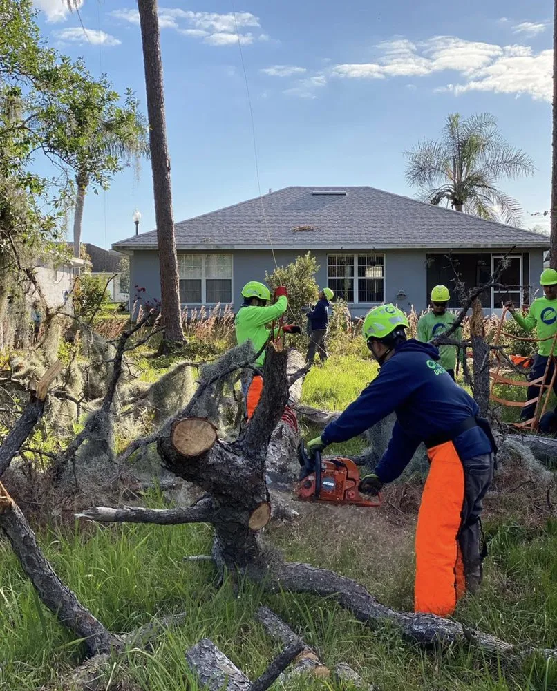 Reliable lawn care service in Haines City, FL - RightWay Landscape & Tree Professionals
