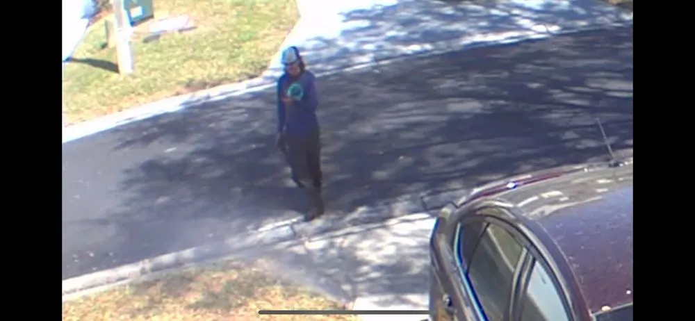 Local outdoor landscaping for homes in Haines City, FL by RightWay Landscape & Tree Professionals