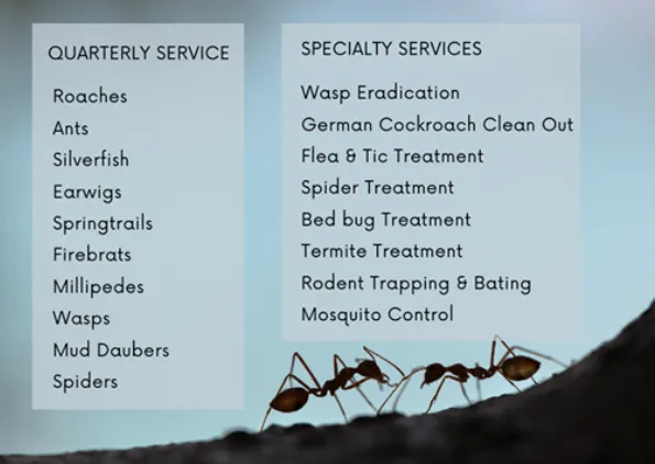 Custom garden landscaping in Richmond, TX by Rightway Pest & Home Services